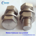 Stainless Steel Hex Cap Screw